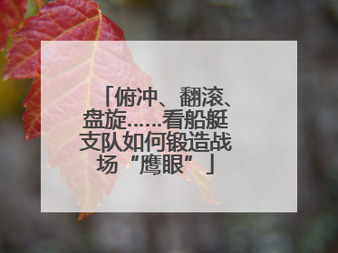 俯冲、翻滚、盘旋……看船艇支队如何锻造战场“鹰眼”