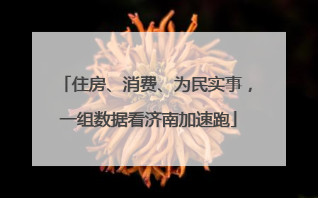住房、消费、为民实事，一组数据看济南加速跑