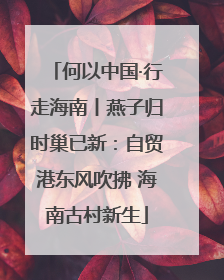 何以中国·行走海南丨燕子归时巢已新：自贸港东风吹拂 海南古村新生