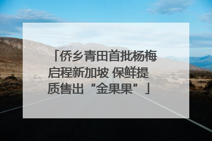 侨乡青田首批杨梅启程新加坡 保鲜提质售出“金果果”