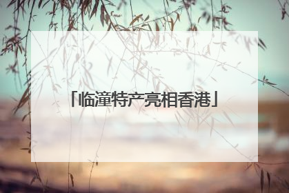 临潼特产亮相香港