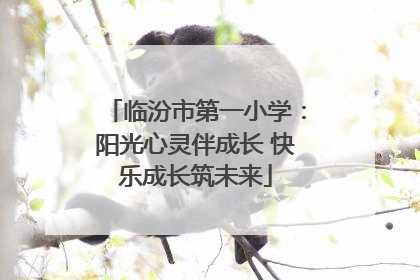 临汾市第一小学：阳光心灵伴成长 快乐成长筑未来