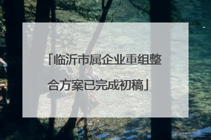 临沂市属企业重组整合方案已完成初稿