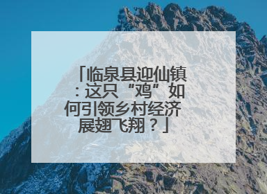 临泉县迎仙镇：这只“鸡”如何引领乡村经济展翅飞翔？