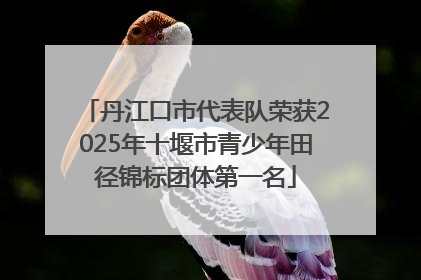 丹江口市代表队荣获2025年十堰市青少年田径锦标团体第一名