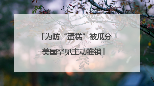 为防“蛋糕”被瓜分 美国罕见主动推销