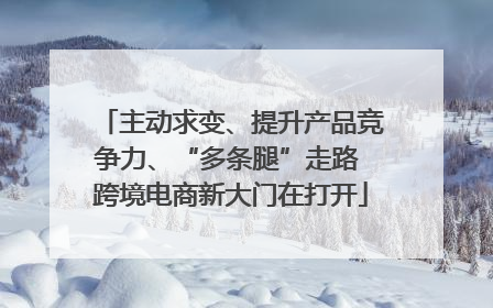 主动求变、提升产品竞争力、“多条腿”走路 跨境电商新大门在打开
