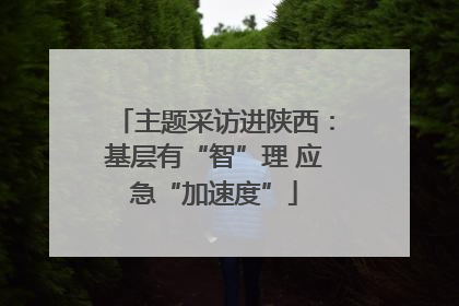 主题采访进陕西：基层有“智”理 应急“加速度”