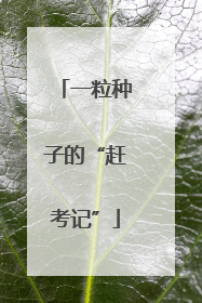 一粒种子的“赶考记”