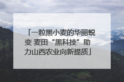一粒黑小麦的华丽蜕变 麦田“黑科技”助力山西农业向新提质