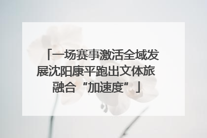 一场赛事激活全域发展沈阳康平跑出文体旅融合“加速度”