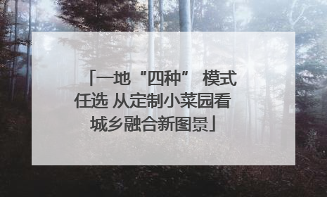 一地“四种” 模式任选 从定制小菜园看城乡融合新图景