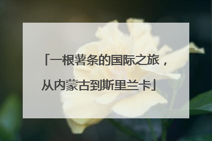 一根薯条的国际之旅，从内蒙古到斯里兰卡