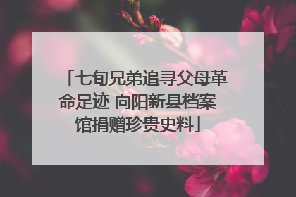 七旬兄弟追寻父母革命足迹 向阳新县档案馆捐赠珍贵史料
