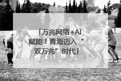 万兆网络+AI赋能！青海迈入“双万兆”时代