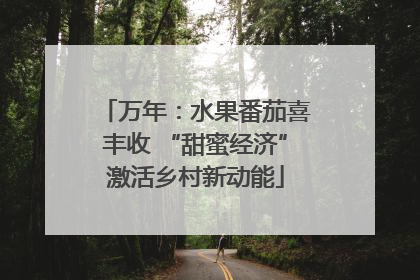 万年：水果番茄喜丰收 “甜蜜经济”激活乡村新动能