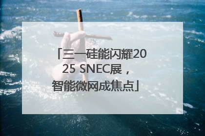 三一硅能闪耀2025 SNEC展，智能微网成焦点