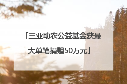 三亚助农公益基金获最大单笔捐赠50万元