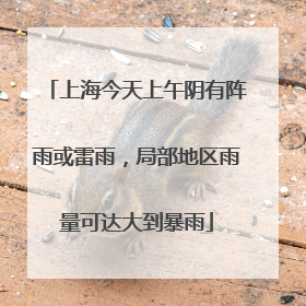 上海今天上午阴有阵雨或雷雨，局部地区雨量可达大到暴雨
