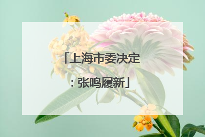 上海市委决定：张鸣履新