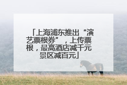 上海浦东推出“演艺票根券”，上传票根，最高酒店减千元景区减百元