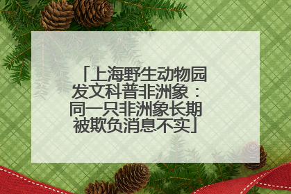 上海野生动物园发文科普非洲象：同一只非洲象长期被欺负消息不实
