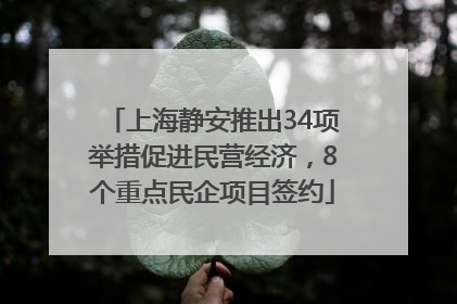 上海静安推出34项举措促进民营经济，8个重点民企项目签约