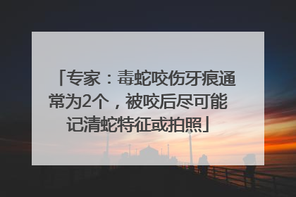 专家：毒蛇咬伤牙痕通常为2个，被咬后尽可能记清蛇特征或拍照