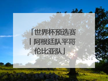 世界杯预选赛丨阿根廷队平哥伦比亚队