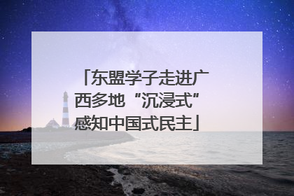 东盟学子走进广西多地“沉浸式”感知中国式民主