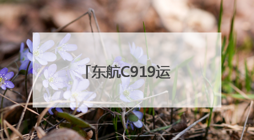 东航C919运营两周年承运旅客逾157万人次
