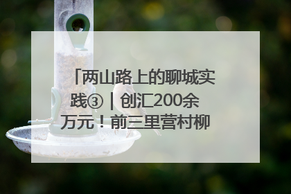 两山路上的聊城实践③｜创汇200余万元！前三里营村柳篱笆畅销西班牙