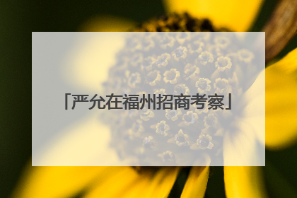严允在福州招商考察