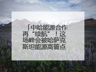 中哈能源合作再“续航”！这场峰会被哈萨克斯坦能源高管点赞“加油”