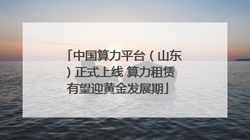 中国算力平台（山东）正式上线 算力租赁有望迎黄金发展期