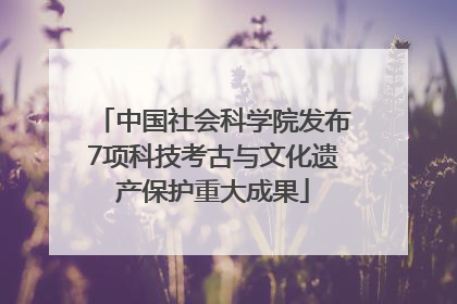 中国社会科学院发布7项科技考古与文化遗产保护重大成果