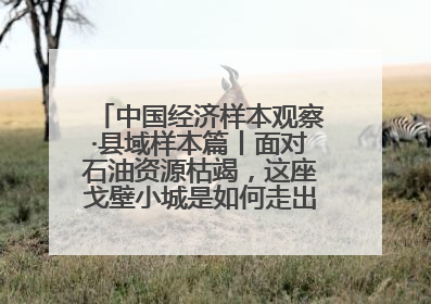 中国经济样本观察·县域样本篇丨面对石油资源枯竭，这座戈壁小城是如何走出困境的？