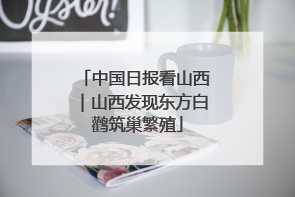 中国日报看山西｜山西发现东方白鹳筑巢繁殖