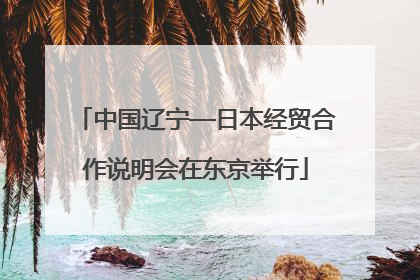中国辽宁—日本经贸合作说明会在东京举行