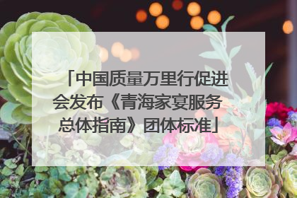 中国质量万里行促进会发布《青海家宴服务总体指南》团体标准