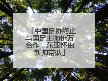 中国足协终止与国足主帅伊万合作，东亚杯由新帅带队