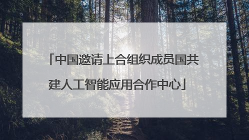 中国邀请上合组织成员国共建人工智能应用合作中心