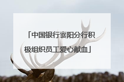 中国银行襄阳分行积极组织员工爱心献血