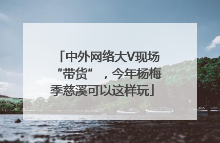 中外网络大V现场“带货”，今年杨梅季慈溪可以这样玩