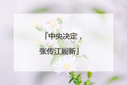 中央决定，张传江履新