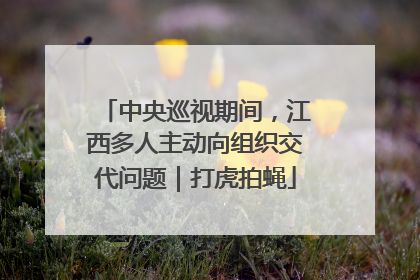 中央巡视期间，江西多人主动向组织交代问题｜打虎拍蝇
