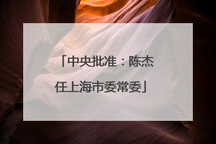 中央批准：陈杰任上海市委常委