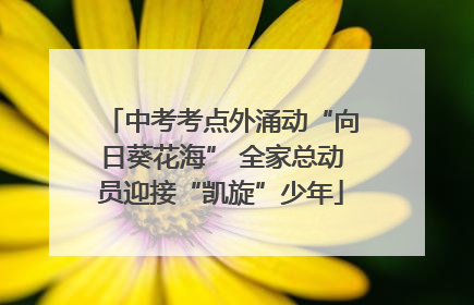 中考考点外涌动“向日葵花海” 全家总动员迎接“凯旋”少年