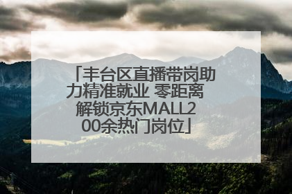 丰台区直播带岗助力精准就业 零距离解锁京东MALL200余热门岗位