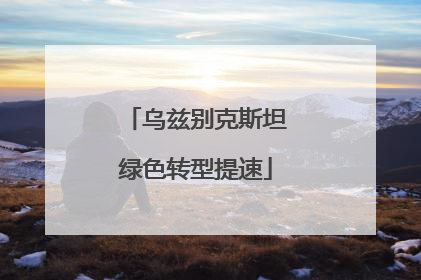 乌兹别克斯坦绿色转型提速